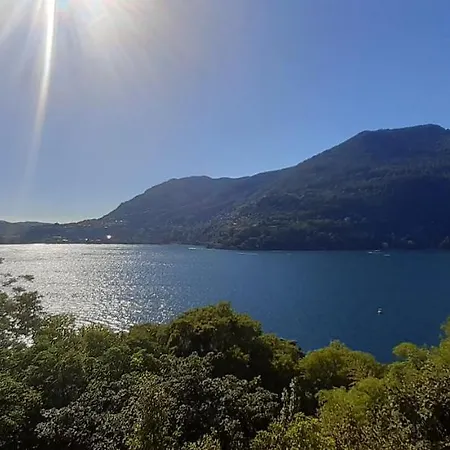 An Armchair On The شقة *