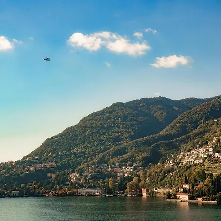 An Armchair On The شقة